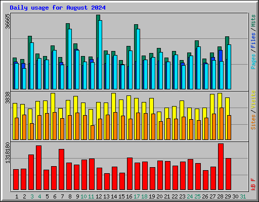 Daily usage for August 2024
