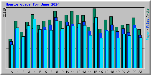 Hourly usage for June 2024
