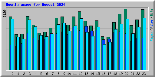 Hourly usage for August 2024
